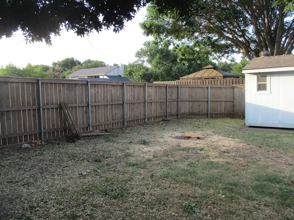 Cleared yard after professional tree removal in Newman Grove