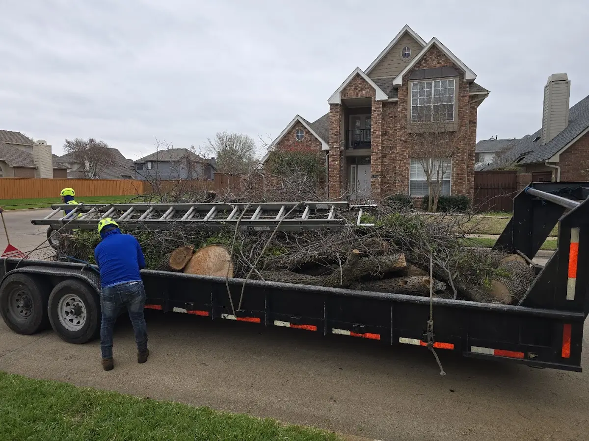 Expert Tree Fertilization with proper safety equipment in Newman Grove